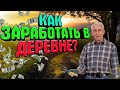 СПОСОБЫ ЗАРАБОТАТЬ ШКОЛЬНИКУ ЛЕТОМ В ДЕРЕВНЕ