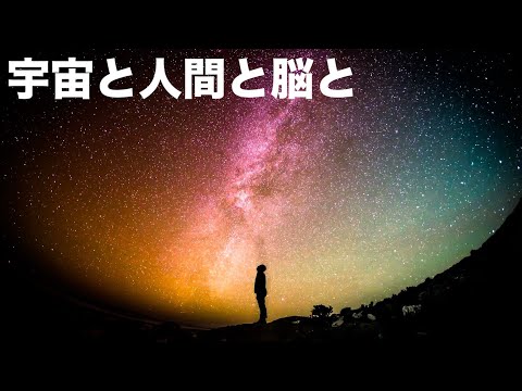 無秩序から秩序が生まれる仕組み【創発】｜脳と自由意志＃10