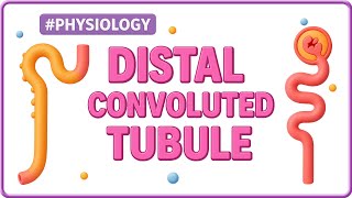 9. Distal Convoluted Tubule Explained | Thiazides, Calcium Reabsorption & RAAS | USMLE Step 1