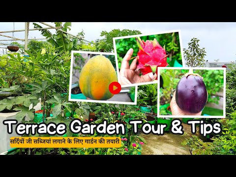 सर्दियों की सब्जियां लगाने के लिए गार्डन की तयारी के टिप्स | Terrace Garden Tour u0026 Tips For Winter