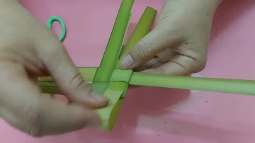 video hướng dẫn làm đồ chơi con cá từ lá dừa phần 2