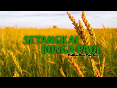 SETANGKAI BUNGA PADI