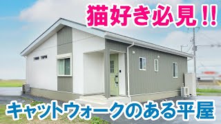 【ルームツアー】平屋坪/　デッドスペースを活用して収納か所を実現した、愛猫と快適に暮らす平屋が栃木県益子町に完成しました