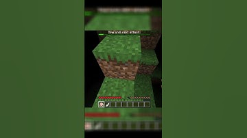 minecraft but you get a random effect at every 10 seconds