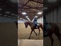 Close up lol #horse #horseriding #equestrian #riding #jumping