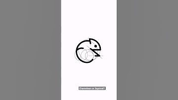 Chameleon minimalistic logo design and animation with golden ratio grid