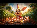 الأرنب وحيد سر مهرجان الجزر قناة صندوق الدنيا Sondukeldonia الأرنب وحيد سر مهرجان الجزر قناة صندوق الدنيا Sondukeldonia