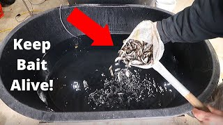 Keep Bait Alive ALL Winter Long! (How to Minnow Tank Build DIY)