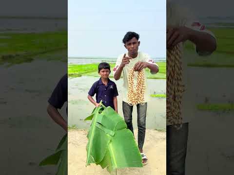 ঘাষ রেখে বেড়া দৌড়ে পালালো🐐🤩 #shorts #funny #trendingshorts #comedy