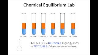 Chemical Equilibrium Lab