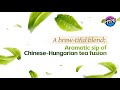 Chinese professor establishes a tea culture class in Hungary