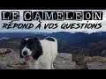 Interlude du camlon  je rpond  vos questions