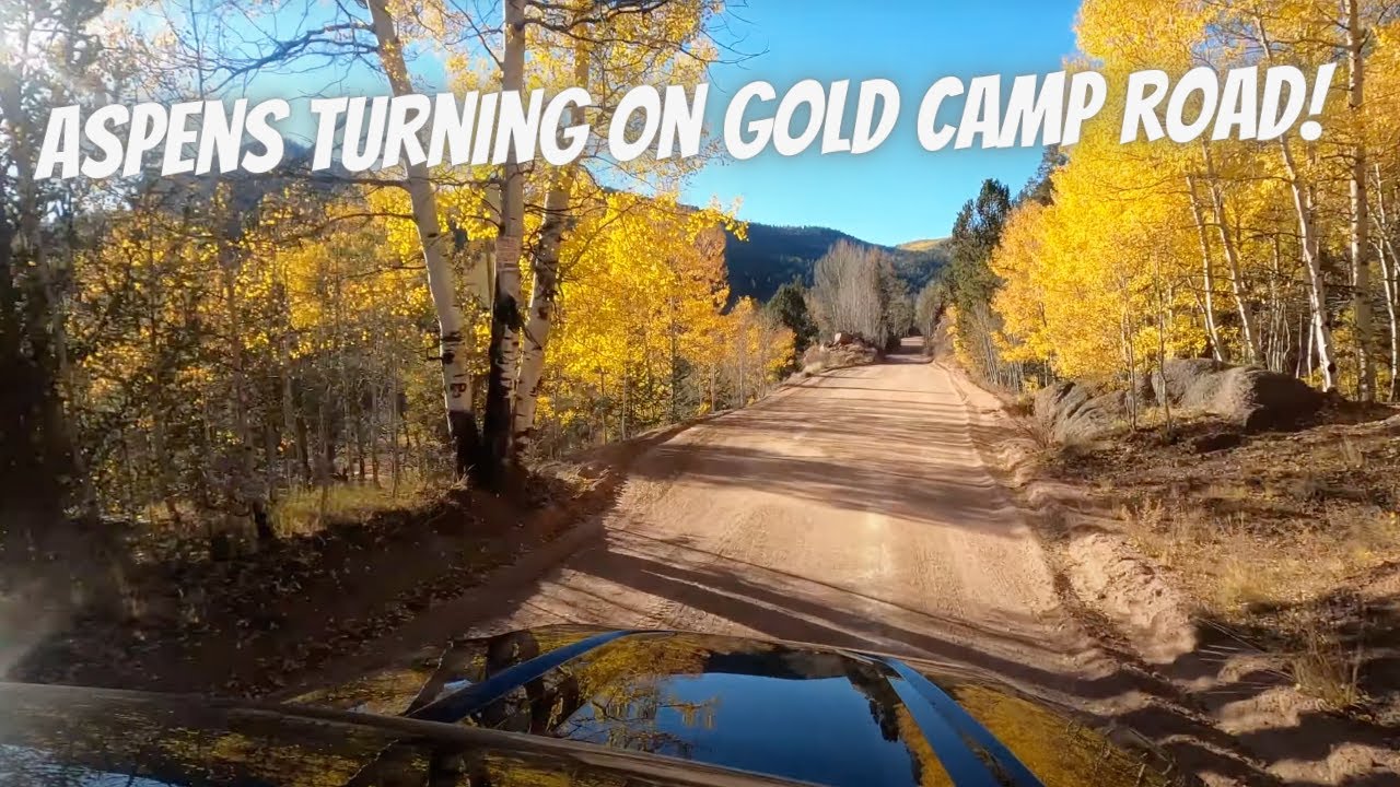 Old Stage and Gold Camp Road Colorado Springs Golden Aspens and St