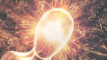 QUEEN KONA - Boundaries Dissolved (Official Video)