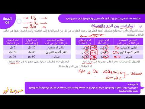 شرح المبادلات التي تحدث بين الدم والعضلة صفحة 30 علوم طبيعية سنة 04 متوسط