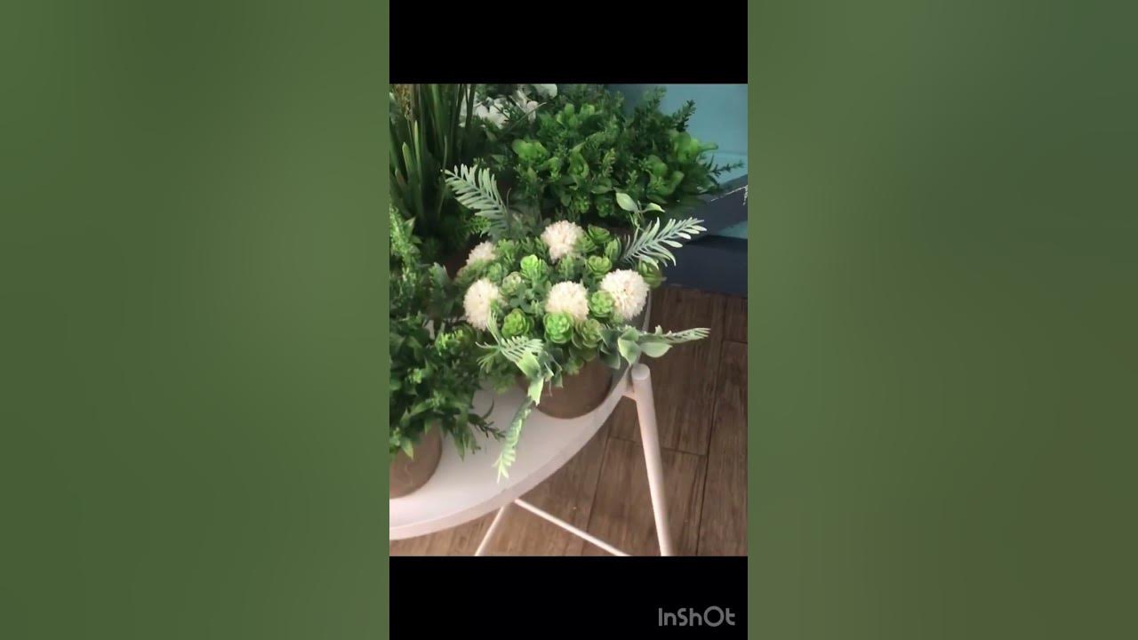 Зелень в горшочках🪴 - YouTube