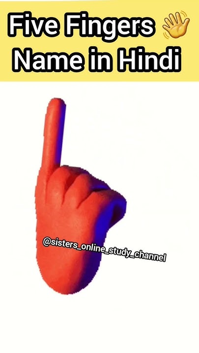 five-finger-name-in-hindi