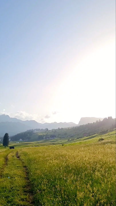 Europe’s Hidden Paradise 🌿✨ #shorts #travel #europe #paradise #montenegro