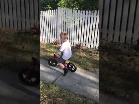 Ultimate Guide To Buying A Balance Bike And Group Test Youtube