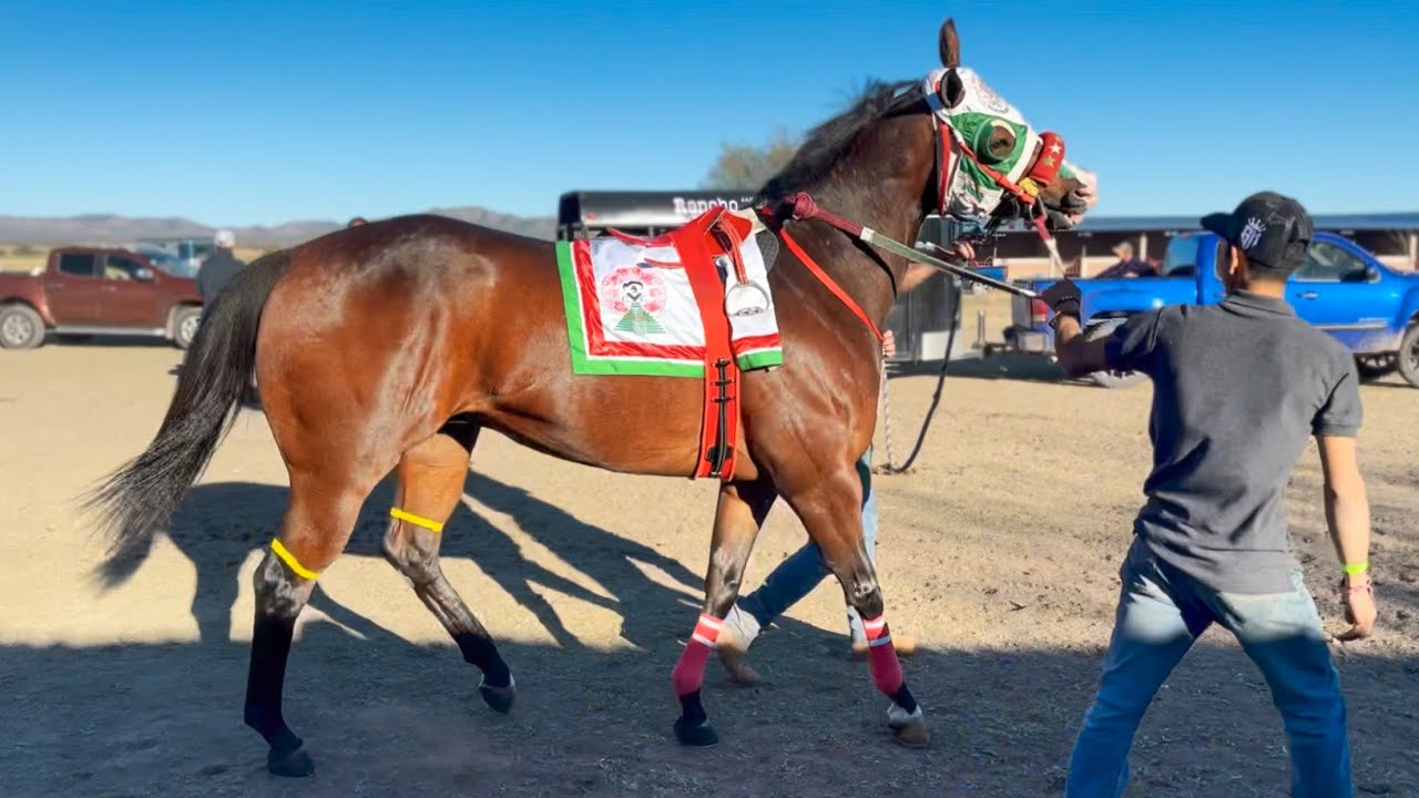 Carreron Estelar En El Carril La Tira El Cricket Vs La Cachanilla