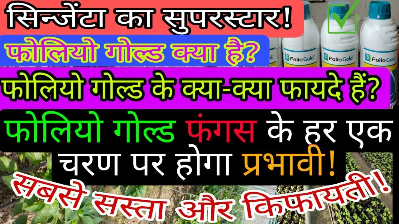 Syngenta Folio Gold Mode of Action Late Blight & Downy Mildew