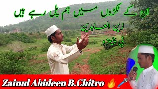 Unke Tukdo Mein Ham Pal Rahe Hain || Zainul Abideen B.Chitro || New Naat 2021|| New Kalam New Shairi