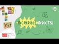 Video: Natudomino insectos