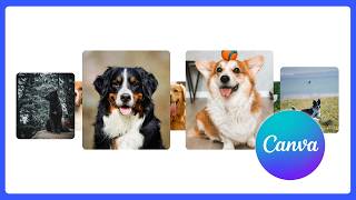 How to Create a Rotating Carousel Effect in Canva | Frames & Transition Tutorial