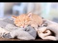 Relaxing Sleep Music, Calm Music, Soft Music,  Instrumental Music, Sleep Meditation, 8 Hours, ☯2678