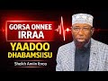 Sheikh Amiin Ibro Gorsa Onnee Irra Yaaddoo Dhabamsiisu Fi Yaaddoo Jireenyaa Jalaa Qalbi Tasgabbeeysu