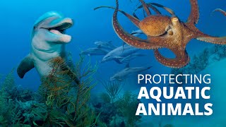 World Aquatic Animal Day