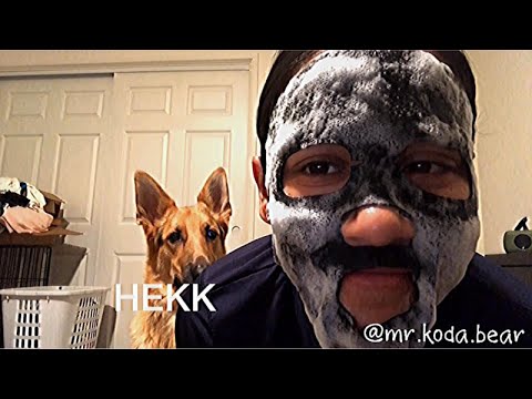 my-dog-reacts-to-my-face-mask!-*prank*