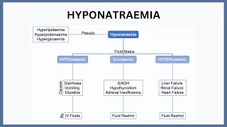 Hyponatraemia Explained
