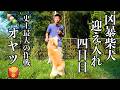 【凶暴柴犬】4日目 遠山くんに美味しいオヤツで仲良くなれるかやってみた🥰