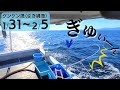 ビンチョウマグロ来いっ！！三重県、2023年1月31日～2月5日のケンケン漁。