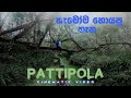 Pattipolahorton plains       ambewela  kandeela  nuwaraeliya  badullatrain