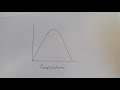 Enzyme Activity and Temperature Dynamics