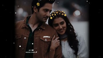 💘Tumse Mohabbat Hai ❤️💫 Whatsapp lyrics ☘️ Lofi song ✨ HINDI LOVE SONG 🥰