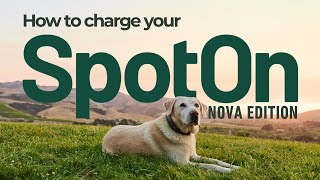 How to Charge Your SpotOn GPS Dog Fence Nova Edition (Step‑by‑Step) #pettech #dogsafety #spotonfence