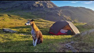 Mountain Tarn Wild Camping with a Dog | MSR Hubba Hubba | Lake District