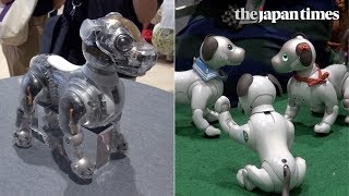 Aibo fan meeting at Ginza Sony Park