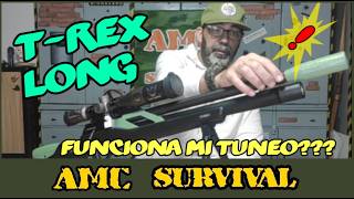 T Rex Long, Funciona Mi Tuneo?