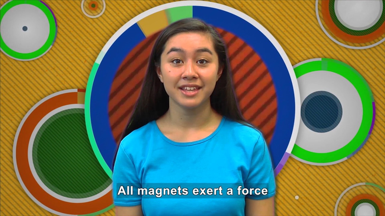 Real World Science: Magnetism 