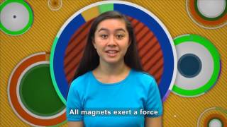 Real World Science: Magnetism (Accessible Preview)