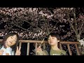 雪の花/和田 青児・Cover by 杉