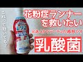 【L92 乳酸菌】花粉症ランナーに朗報？ ランチョは最近、花粉症の薬飲んでません！