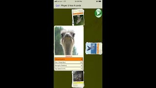 Match4App: Animals Card Match Up Game For Kids and babies, Free App for Android and iOS Match4App: Animals Card Match Up Game For Kids and babies, Free App for Android and iOS