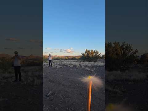 Gamo .25 VS Grape...