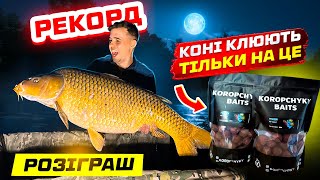 НА ЦЕЙ КОРМ заходить риба ТОННАМИ! Новинка КАРПФІШИНГА 2024! Короп клює триплетами!