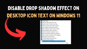 Disable Drop Shadow effect on desktop Icon text on Windows 11